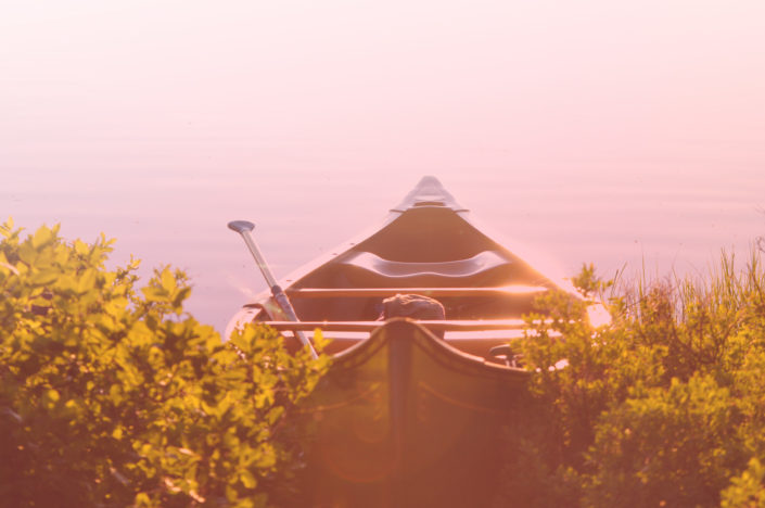 RediNest-Banner—RazorPlan—Canoe RediNest