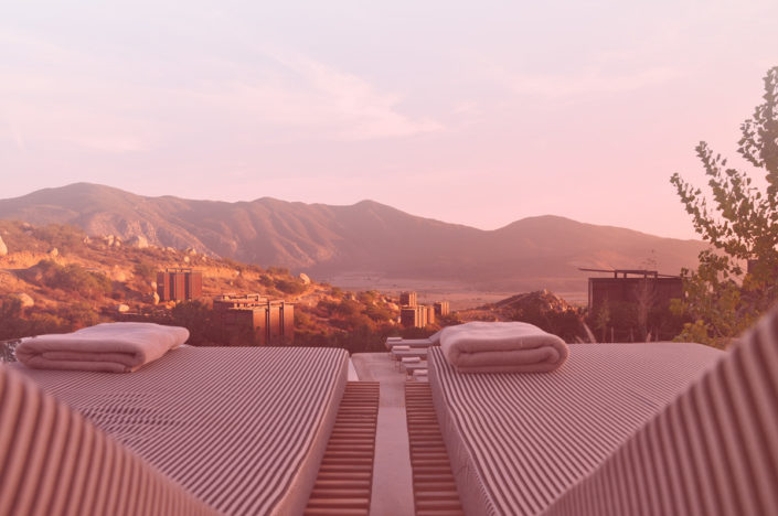 RediNest-Banner—RazorPlan—Loungers